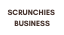 SCRUNCHIES BUSINESS